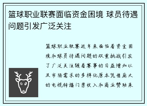 篮球职业联赛面临资金困境 球员待遇问题引发广泛关注