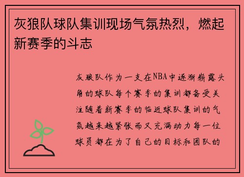 灰狼队球队集训现场气氛热烈，燃起新赛季的斗志